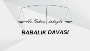 Read more about the article Babalık Davası