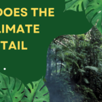 WHAT DOES THE NEW CLIMATE LAW ENTAIL?