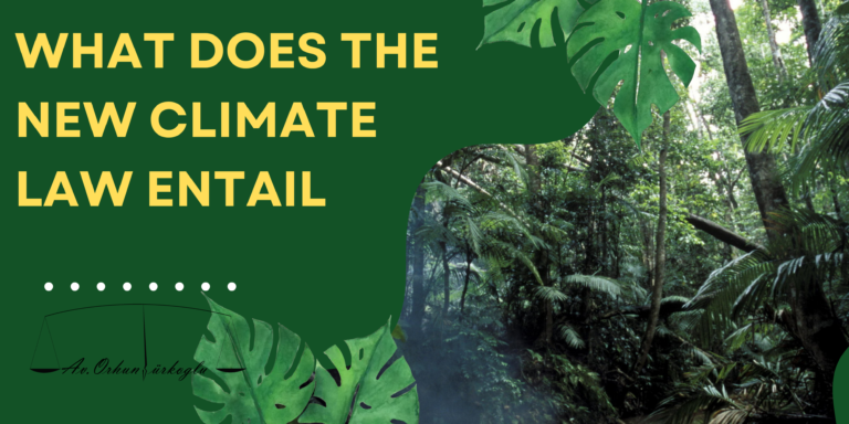 Read more about the article WHAT DOES THE NEW CLIMATE LAW ENTAIL?
