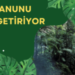 YENİ İKLİM KANUNU NELER GETİRİYOR?