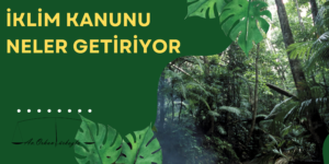 Read more about the article YENİ İKLİM KANUNU NELER GETİRİYOR?